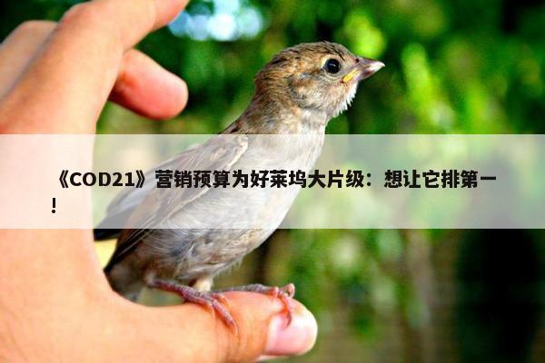 《COD21》营销预算为好莱坞大片级：想让它排第一!