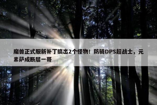 魔兽正式服新补丁搞出2个怪物！防骑DPS超战士，元素萨成断层一哥