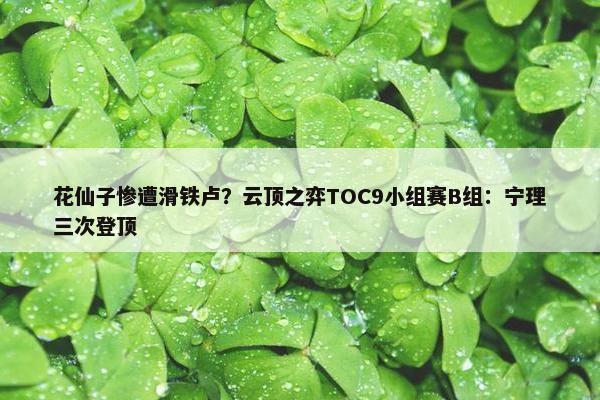 花仙子惨遭滑铁卢？云顶之弈TOC9小组赛B组：宁理三次登顶