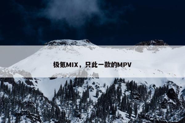 极氪MIX，只此一款的MPV