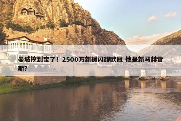 曼城挖到宝了！2500万新援闪耀欧冠 他是新马赫雷斯？