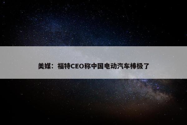 美媒：福特CEO称中国电动汽车棒极了