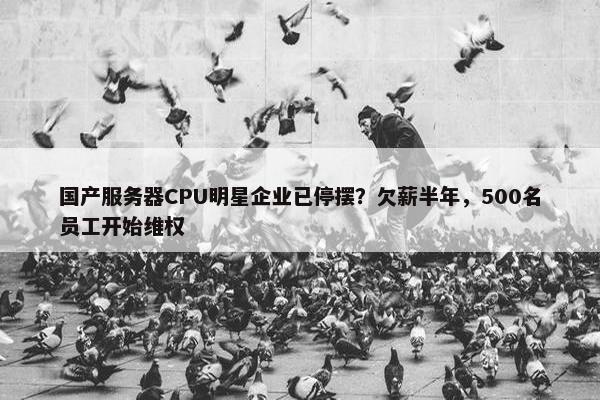 国产服务器CPU明星企业已停摆？欠薪半年，500名员工开始维权