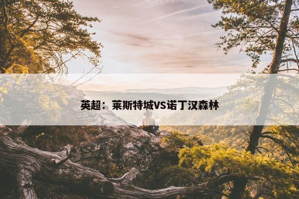 英超：莱斯特城VS诺丁汉森林