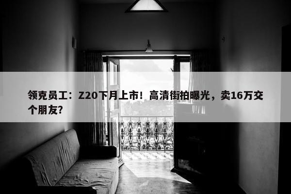 领克员工：Z20下月上市！高清街拍曝光，卖16万交个朋友？