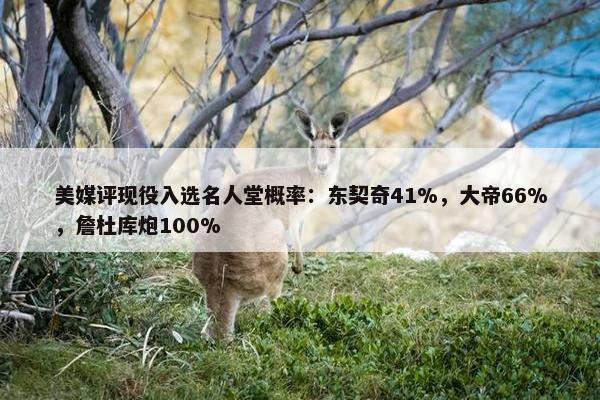 美媒评现役入选名人堂概率：东契奇41%，大帝66%，詹杜库炮100%