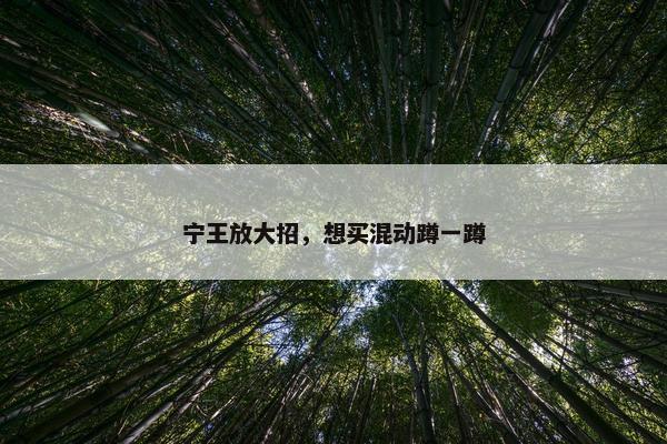 宁王放大招，想买混动蹲一蹲