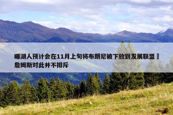 曝湖人预计会在11月上旬将布朗尼被下放到发展联盟 詹姆斯对此并不排斥