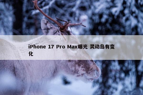 iPhone 17 Pro Max曝光 灵动岛有变化