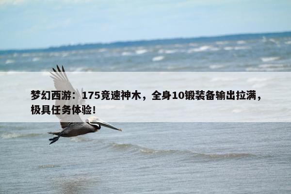 梦幻西游：175竞速神木，全身10锻装备输出拉满，极具任务体验！