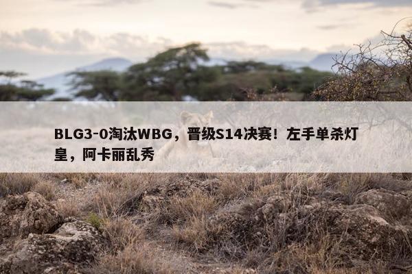 BLG3-0淘汰WBG，晋级S14决赛！左手单杀灯皇，阿卡丽乱秀