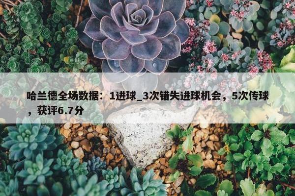 哈兰德全场数据：1进球_3次错失进球机会，5次传球，获评6.7分