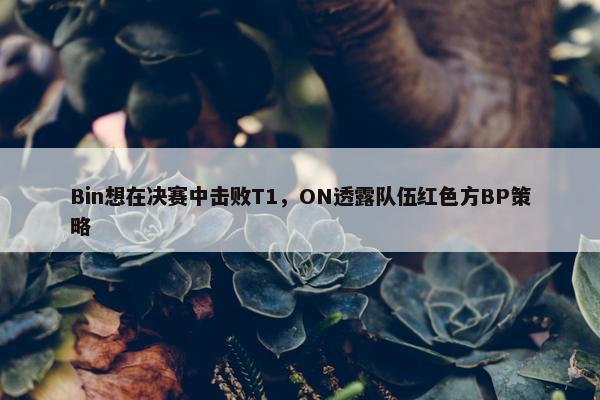 Bin想在决赛中击败T1，ON透露队伍红色方BP策略