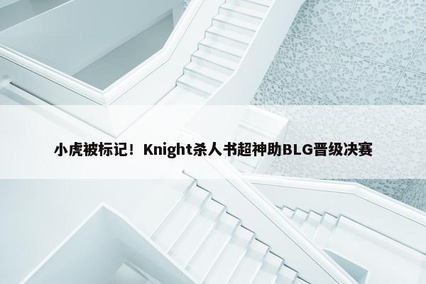 小虎被标记！Knight杀人书超神助BLG晋级决赛