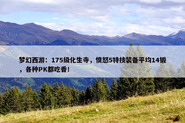 梦幻西游：175级化生寺，愤怒5特技装备平均14锻，各种PK都吃香！