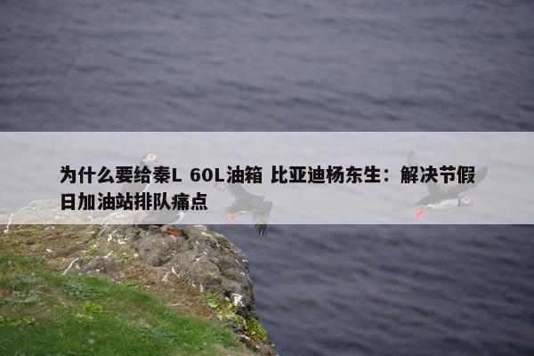 为什么要给秦L 60L油箱 比亚迪杨东生：解决节假日加油站排队痛点