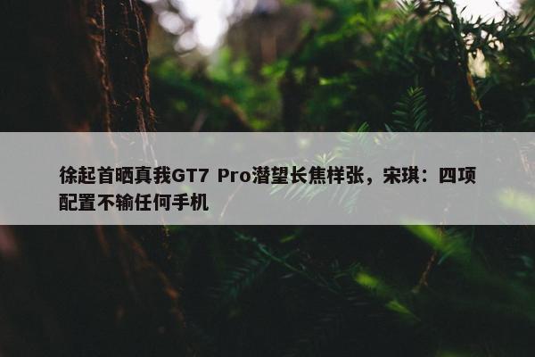 徐起首晒真我GT7 Pro潜望长焦样张，宋琪：四项配置不输任何手机