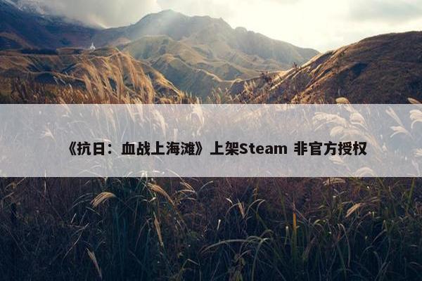 《抗日：血战上海滩》上架Steam 非官方授权