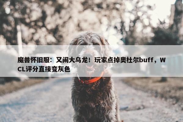 魔兽怀旧服：又闹大乌龙！玩家点掉奥杜尔buff，WCL评分直接变灰色