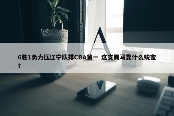 6胜1负力压辽宁队排CBA第一 这支黑马靠什么蜕变？