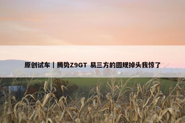 原创试车｜腾势Z9GT 易三方的圆规掉头我惊了