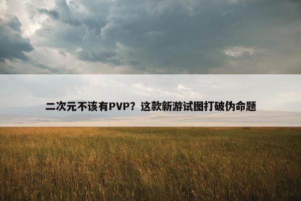 二次元不该有PVP？这款新游试图打破伪命题