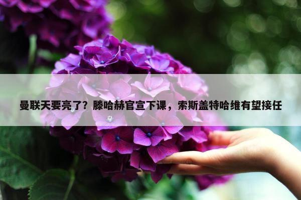 曼联天要亮了？滕哈赫官宣下课，索斯盖特哈维有望接任