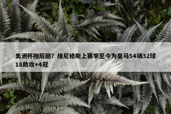 美洲杯拖后腿？维尼修斯上赛季至今为皇马54场32球18助攻+4冠