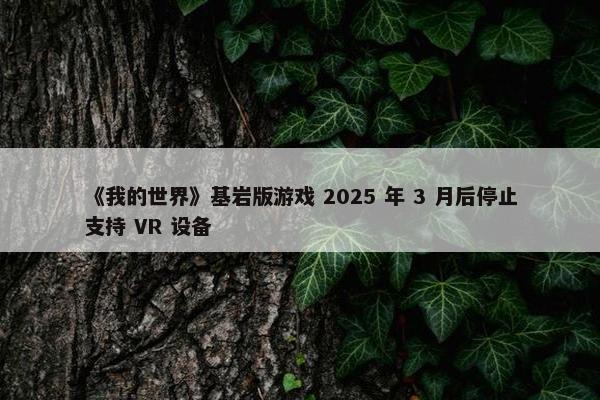 《我的世界》基岩版游戏 2025 年 3 月后停止支持 VR 设备