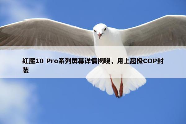 红魔10 Pro系列屏幕详情揭晓，用上超极COP封装