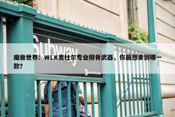 魔兽世界：WLK奥杜尔专业排骨武器，你最想拿到哪一款？