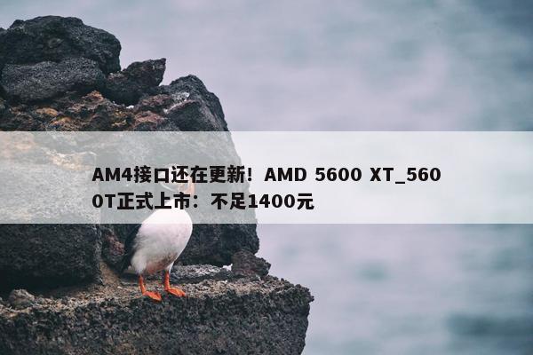 AM4接口还在更新！AMD 5600 XT_5600T正式上市：不足1400元