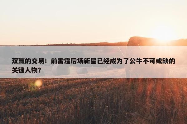 双赢的交易！前雷霆后场新星已经成为了公牛不可或缺的关键人物？