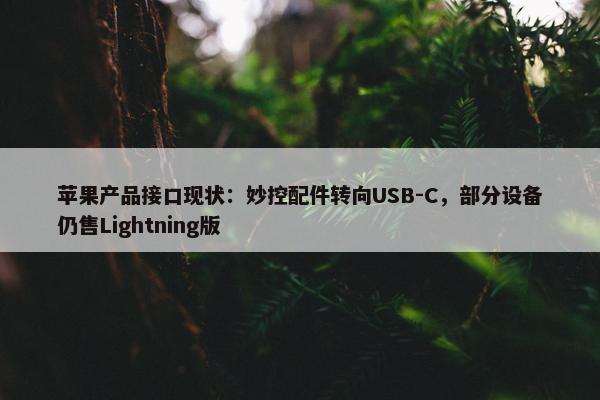 苹果产品接口现状：妙控配件转向USB-C，部分设备仍售Lightning版