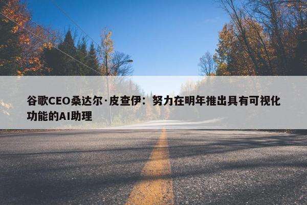 谷歌CEO桑达尔·皮查伊：努力在明年推出具有可视化功能的AI助理