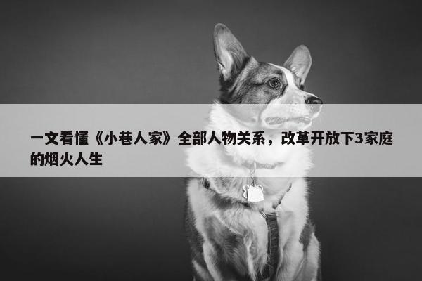 一文看懂《小巷人家》全部人物关系，改革开放下3家庭的烟火人生