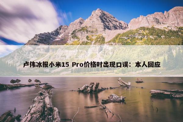 卢伟冰报小米15 Pro价格时出现口误：本人回应