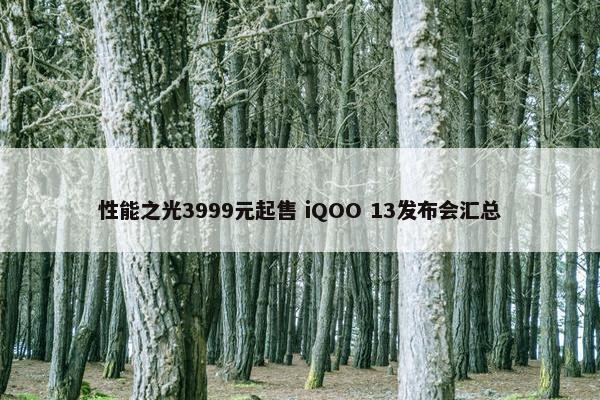 性能之光3999元起售 iQOO 13发布会汇总