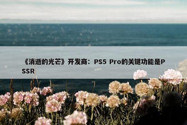 《消逝的光芒》开发商：PS5 Pro的关键功能是PSSR