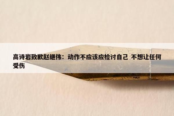 高诗岩致歉赵继伟：动作不应该应检讨自己 不想让任何受伤