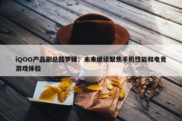 iQOO产品副总裁罗锋：未来继续聚焦手机性能和电竞游戏体验