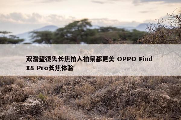 双潜望镜头长焦拍人拍景都更美 OPPO Find X8 Pro长焦体验