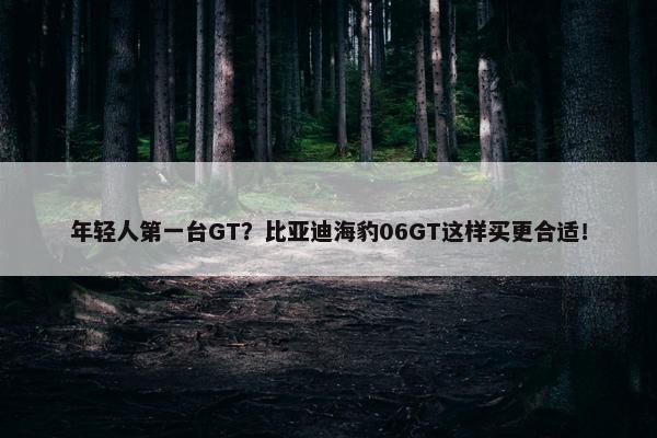 年轻人第一台GT？比亚迪海豹06GT这样买更合适！