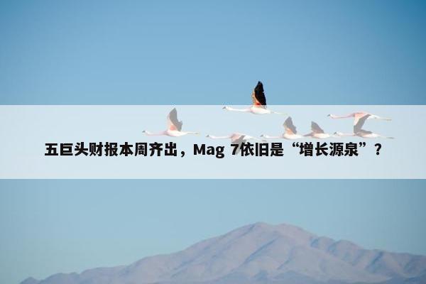 五巨头财报本周齐出，Mag 7依旧是“增长源泉”？