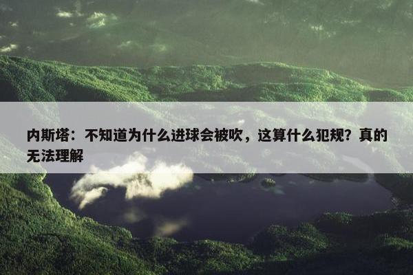 内斯塔：不知道为什么进球会被吹，这算什么犯规？真的无法理解