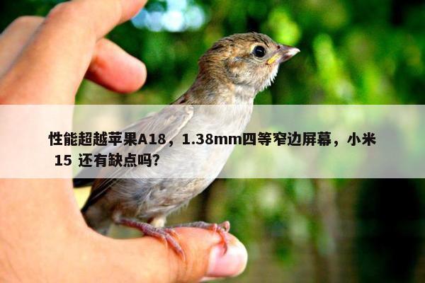 性能超越苹果A18，1.38mm四等窄边屏幕，小米 15 还有缺点吗？