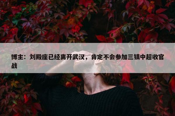 博主：刘殿座已经离开武汉，肯定不会参加三镇中超收官战