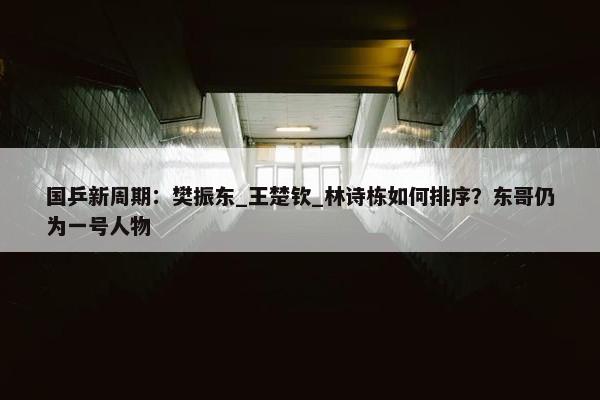 国乒新周期：樊振东_王楚钦_林诗栋如何排序？东哥仍为一号人物