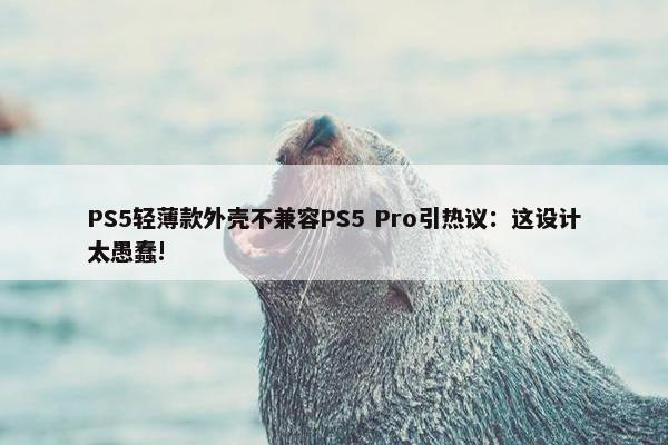 PS5轻薄款外壳不兼容PS5 Pro引热议：这设计太愚蠢!