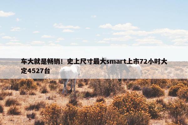 车大就是畅销！史上尺寸最大smart上市72小时大定4527台